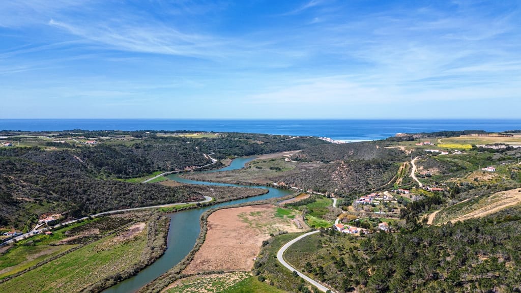 Wildflowers on the Rota Vicentina
